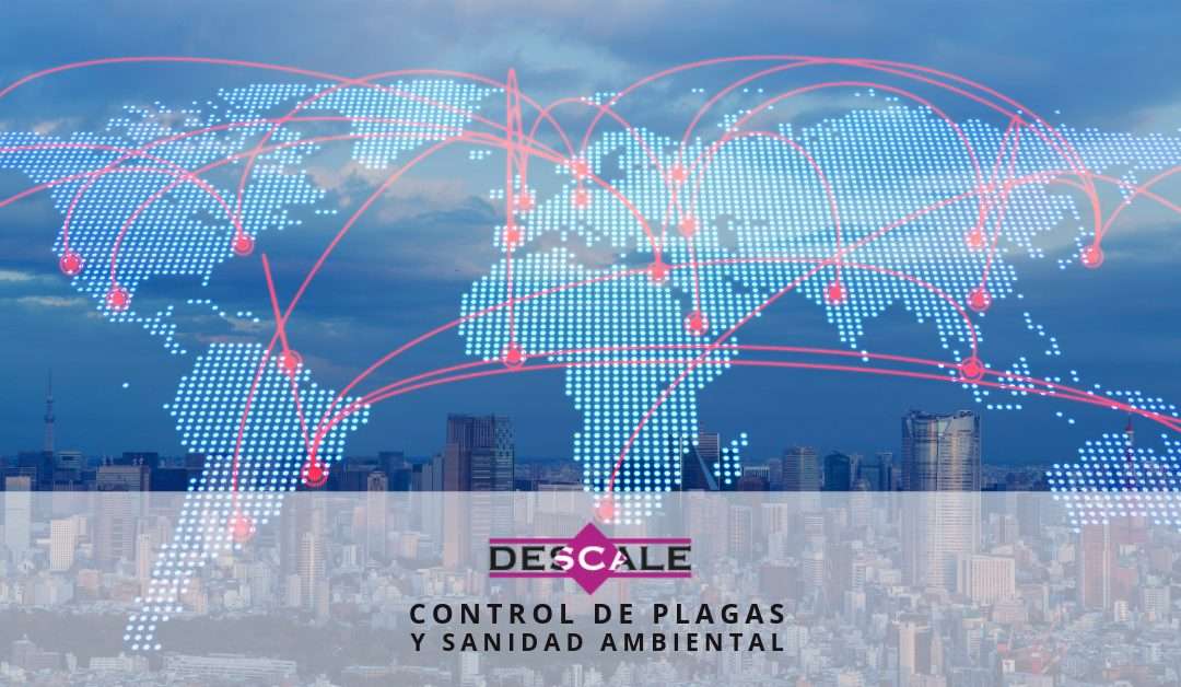 ¿La globalización influye en la propagación de plagas?