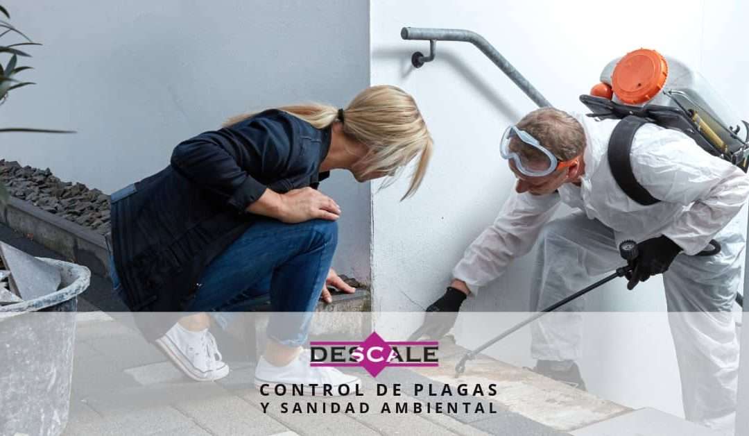 La importancia de la formación en empresas sobre el control de plagas
